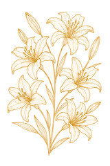Gold Flower Line Art Vector—Elegant Hand-Drawn Botanical Illustration.