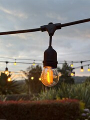 Bombillas en el atardecer vintage 