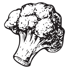 Fototapeta premium Vintage broccoli vegetable engraving illustration