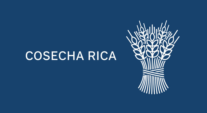 COSECHA RICA. Logotipo con espigas de trigo atadas. Icono de agricultura, cosecha y cereales sobre fondo azul. Dise&ntilde;o para panader&iacute;a o alimentos.