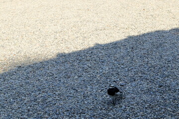 日本　埼玉の風景