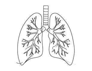Continuous line drawing of lungs
