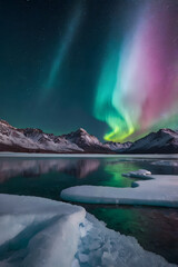 Naklejka premium Aurora Borealis Over Mountains and Water Reflection