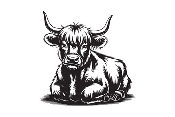 highland cow silhouette  vector