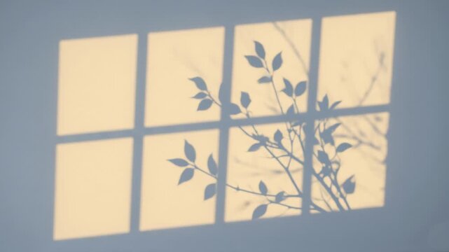 Gentle breeze rustling the leaves of a plant outside, casting soft, dancing shadows on a bright interior wall through an arched window. 