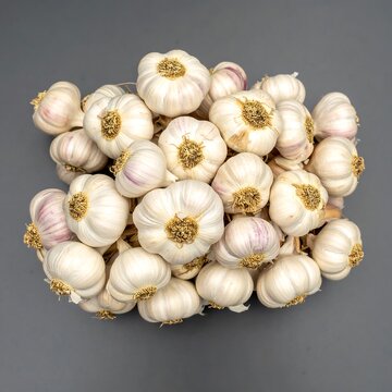 A large cluster of garlic bulbs, tightly bound together, rests on a neutral gray background