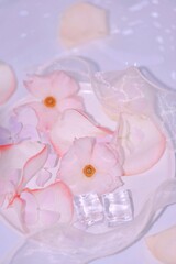 pink flower