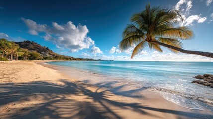 Summer travel planning concept shows A serene beach scene with palm trees and clear blue waters under a bright sky.