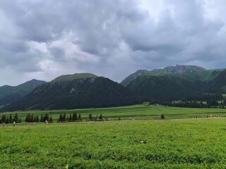 Fototapeta premium landscape with mountains and clouds