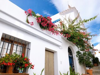 [Spain] Scenery of the old town of the beautiful white village, Frigiliana