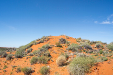 A red sand dune covered with green and gray bushes under a clear blue sky.