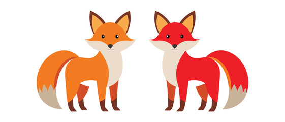 Two cute foxes isolated on white background, one orange and one red.