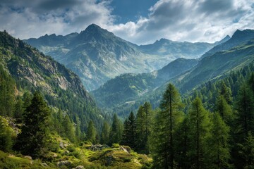 Gorgeous mountain scenery ideal for nature enthusiasts looking to enhance their living spaces with stunning imagery and wall art for home and office decoration
