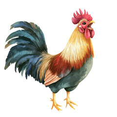 Fototapeta premium Vibrant Watercolor Rooster with Open Beak and Detailed Feathering