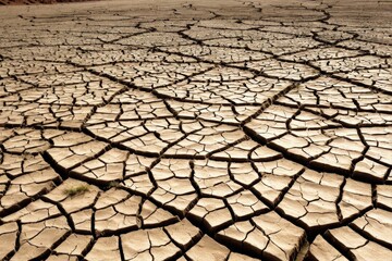 ドライ, 地球, 日照り, 