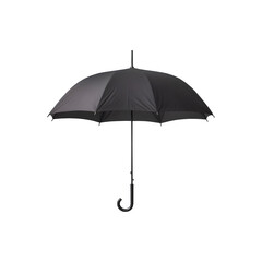 A black umbrella with a classic design