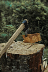 Sharp axe firmly lodged in a freshly split log, showcasing the power and precision of traditional woodworking amidst a natural outdoor setting.