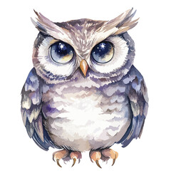 Watercolor Owl with Starry Eyes and Detailed Feathered Plumage