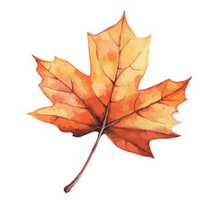 Watercolor Painted Autumn Maple Leaf with Detailed Veins and Colors