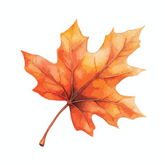 Watercolor Painted Autumn Maple Leaf with Detailed Veins and Colors (1)