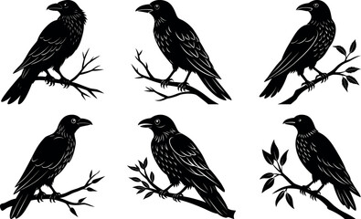 Obraz premium Six Silhouette Crows Perched on Branches