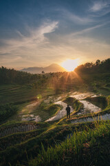 Sunrise Over Rice Terraces with Standing Man