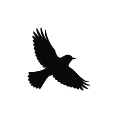 Elegant Bird Silhouette in Flight Isolated on White Background a Symbol of Freedom and Graceful Movement for Nature Lovers and Bird Enthusiasts