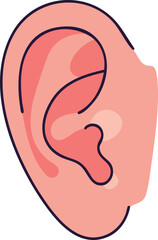 Human ear anatomy vector illustration showing outer ear structure in pink tones 
