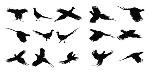Set of pheasant bird silhouettes © Zalfa