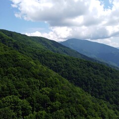 Naklejka premium Lush green mountain slope under a partly cloudy sky