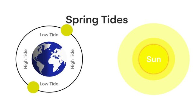 motion of physics and astronomy, Spring tides and Neap tides, Lunar and Solar tides, Diagram showing earth tides, The Earth revolves around itself and receives sunlight