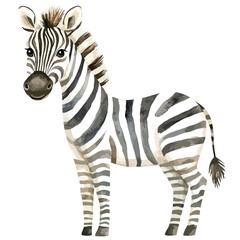 Watercolor Zebra Portrait Gentle Gaze and Striking Stripes