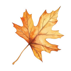 Watercolorstyle maple leaf with detailed veins and warm autumnal colors