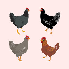 Hen, chicken, animal poultry farm hand drawing isolated vector illustration. Sketch, line art farm animal concept.