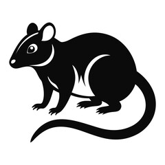 Solid color Palm Rat animal vector design