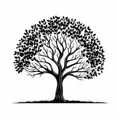 A simple set of black vector tree silhouettes with a variety of leaf and branch illustrations for nature and forest designs