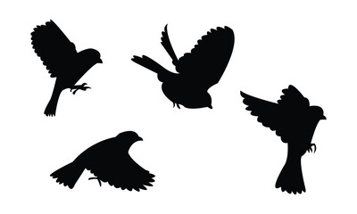 Flying American tree sparrow bird Silhouette Design  And Vector Illustration. 