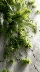 Obraz premium A vertical garden featuring vibrant green ferns and palms growing on a weathered concrete wall, showcasing natural plant decor in urban spaces.