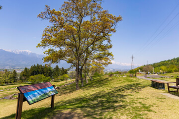 木陰から眺めるあづみ野池田クラフトパークと北アルプスの春景色