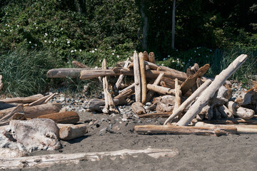 A pile of weathered driftwood logs with greenery on the shore in Victoria, Vancouver Island, Canada.