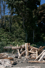 Fototapeta premium A pile of weathered driftwood logs with greenery on the shore in Victoria, Vancouver Island, Canada.