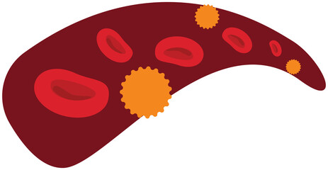 Infected Blood Cells
