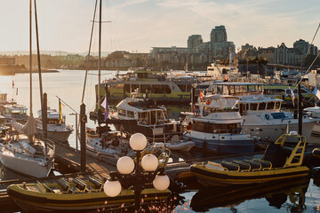 A yellow boat and yachts moored at the marina during sunset in Victoria, Vancouver Island, Canada.