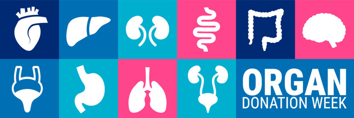 ​Organ Donation Week Geometric shape pattern background, banner, card or poster design template is observed every year during September, to raise awareness about the mission. Vector illustration.