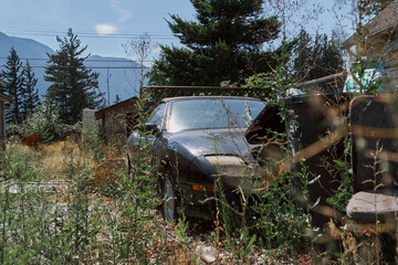 A neglected black car surrounded by tall weeds and grass in an overgrown yard with mountain view in...