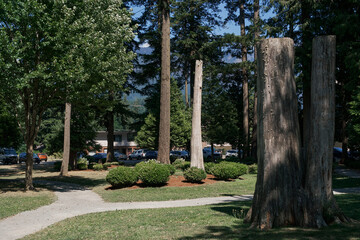 Scenic park view with tall tree trunks, pathway, and greenery in Hope, British Columbia, Canada.