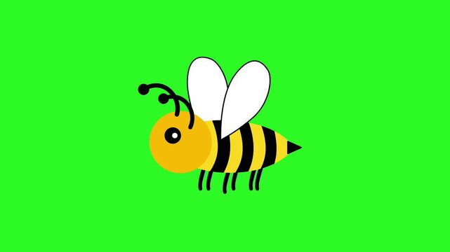 Animated cartoon bee on a background that changes from green screen to white. Minimal flat 2D vector illustration with copy space.