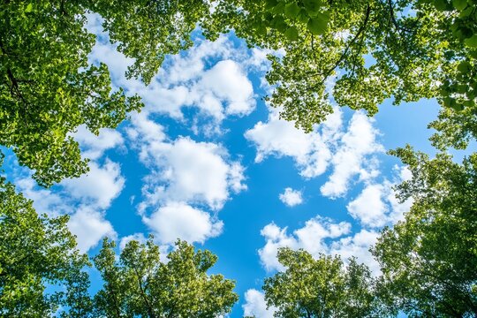 Lush green leaves frame a vibrant blue sky dotted with fluffy white clouds (1) - Powered by Adobe