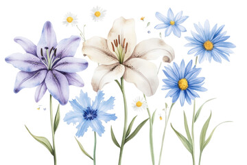 Naklejka premium Watercolor painting of lilies, daisies, and cornflowers isolated on transparent background