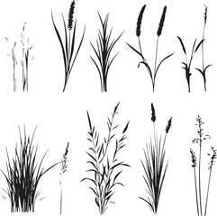 Different Types of Grass and Plant Silhouettes